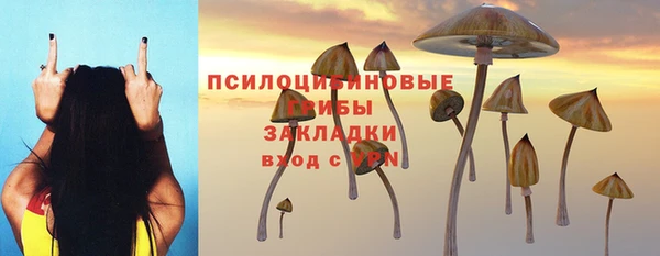 сатива Баксан