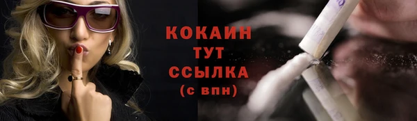 сатива Баксан