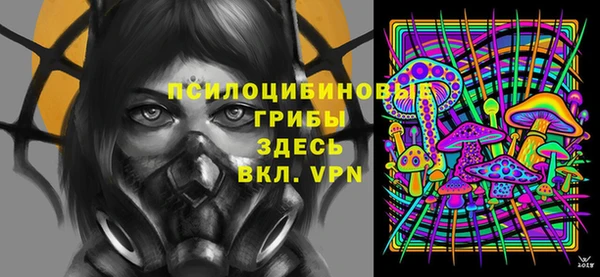сатива Баксан
