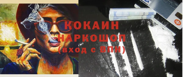 сатива Баксан