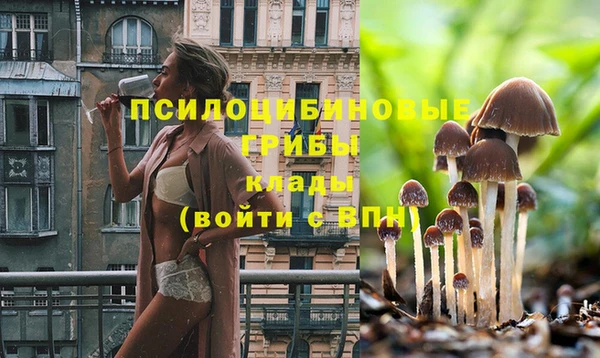 сатива Баксан