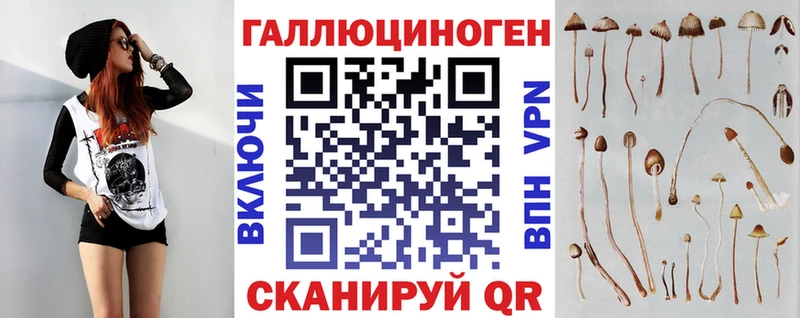 Галлюциногенные грибы Psilocybe Соликамск